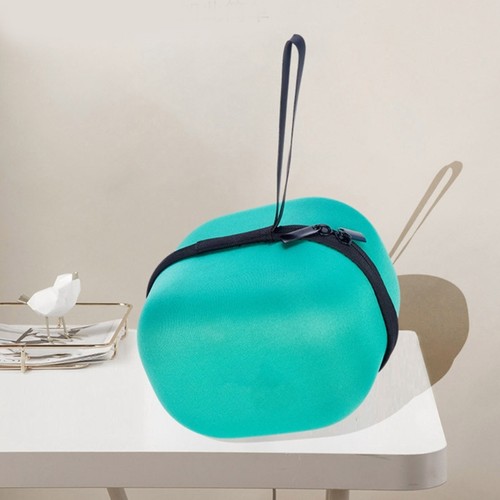Travel case for electric - case,